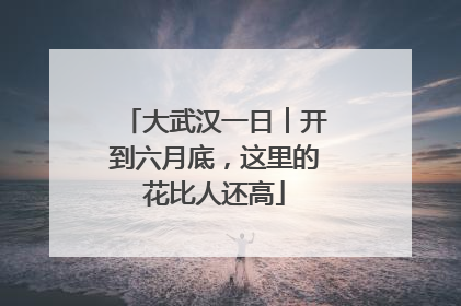 大武汉一日︱开到六月底，这里的花比人还高