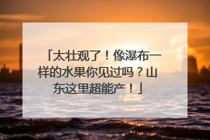 太壮观了！像瀑布一样的水果你见过吗？山东这里超能产！