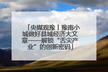 央媒观豫丨豫南小城做好县域经济大文章——解锁“舌尖产业”的创新密码