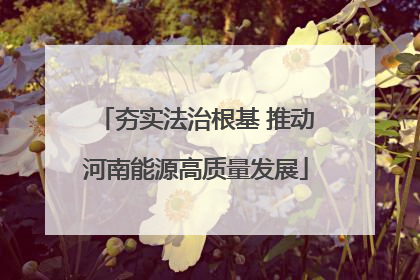 夯实法治根基 推动河南能源高质量发展