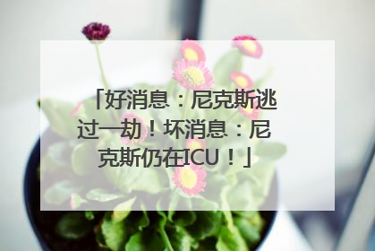 好消息：尼克斯逃过一劫！坏消息：尼克斯仍在ICU！