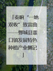 奏响“一地双收”致富曲——鄄城县董口镇发展特色种植产业侧记