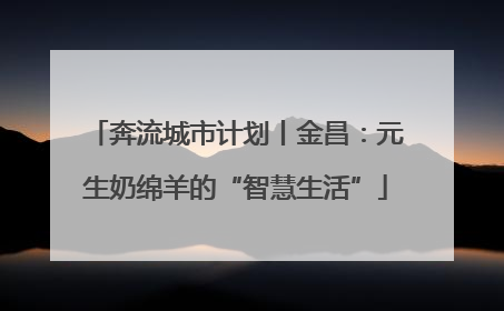 奔流城市计划丨金昌：元生奶绵羊的“智慧生活”