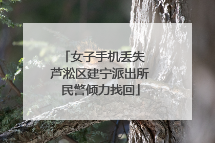 女子手机丢失 芦淞区建宁派出所民警倾力找回