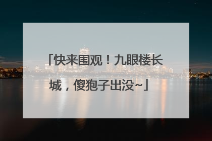 快来围观！九眼楼长城，傻狍子出没~