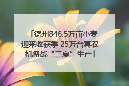 德州846.5万亩小麦迎来收获季 25万台套农机备战“三夏”生产
