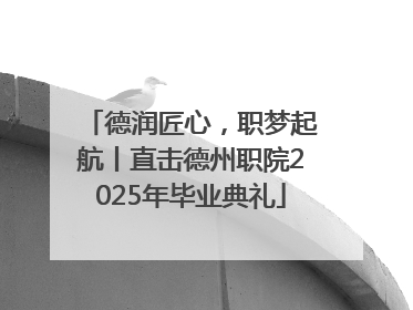 德润匠心，职梦起航丨直击德州职院2025年毕业典礼