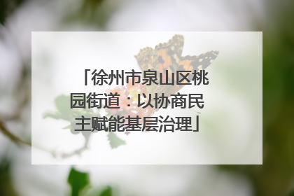 徐州市泉山区桃园街道：以协商民主赋能基层治理