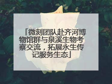 微刻团队赴齐河博物馆群与泉溪生物考察交流，拓展永生传记服务生态