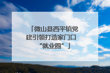 微山县西平镇党建引领打造家门口“就业圈”