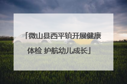 微山县西平镇开展健康体检 护航幼儿成长