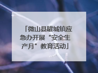 微山县驩城镇应急办开展“安全生产月”教育活动