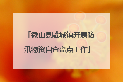 微山县驩城镇开展防汛物资自查盘点工作