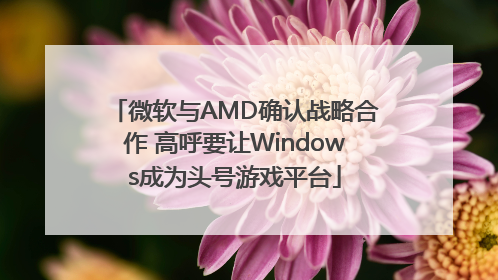 微软与AMD确认战略合作 高呼要让Windows成为头号游戏平台