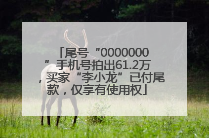 尾号“0000000”手机号拍出61.2万，买家“李小龙”已付尾款，仅享有使用权