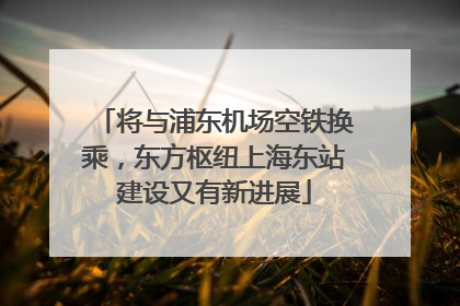 将与浦东机场空铁换乘，东方枢纽上海东站建设又有新进展