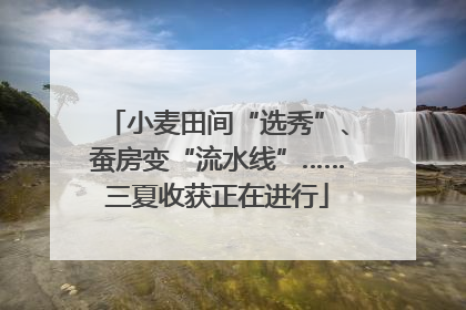 小麦田间“选秀”、蚕房变“流水线”……三夏收获正在进行