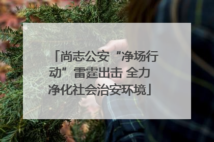 尚志公安“净场行动”雷霆出击 全力净化社会治安环境