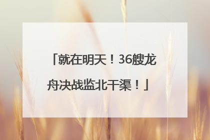 就在明天！36艘龙舟决战监北干渠！
