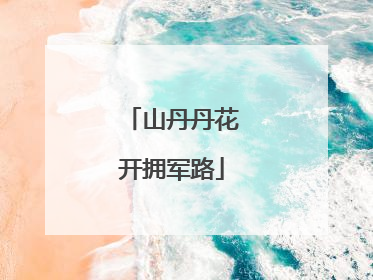 山丹丹花开拥军路
