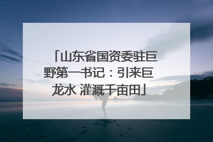 山东省国资委驻巨野第一书记：引来巨龙水 灌溉千亩田