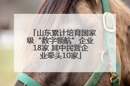 山东累计培育国家级“数字领航”企业18家 其中民营企业牵头10家