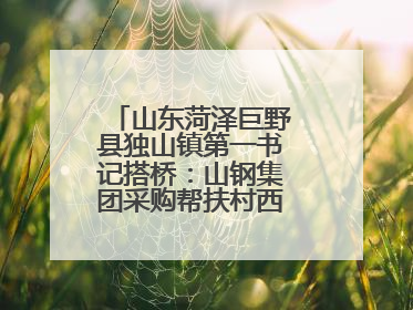 山东菏泽巨野县独山镇第一书记搭桥：山钢集团采购帮扶村西瓜助农增收