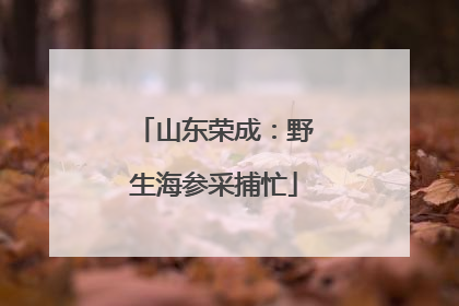 山东荣成：野生海参采捕忙