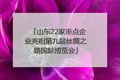山东22家重点企业亮相第九届丝绸之路国际博览会