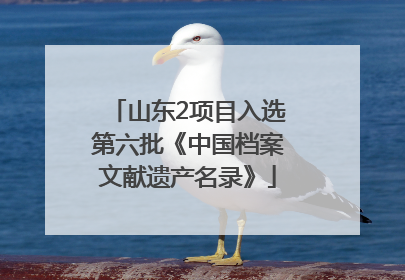 山东2项目入选第六批《中国档案文献遗产名录》