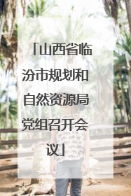 山西省临汾市规划和自然资源局党组召开会议