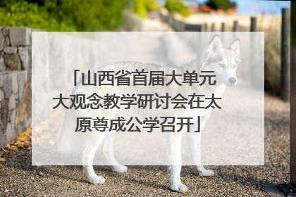 山西省首届大单元 大观念教学研讨会在太原尊成公学召开