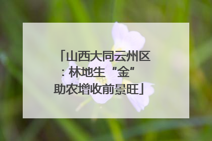 山西大同云州区：林地生“金” 助农增收前景旺