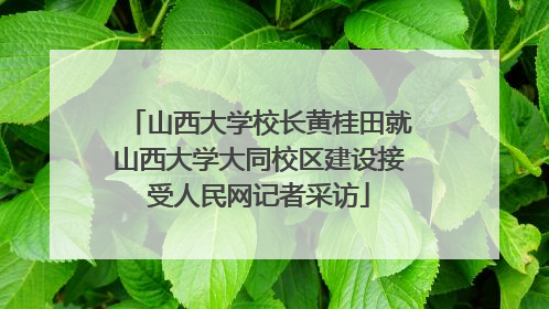 山西大学校长黄桂田就山西大学大同校区建设接受人民网记者采访