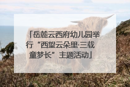 岳麓云西府幼儿园举行“西望云朵里·三载童梦长”主题活动