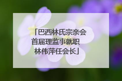 巴西林氏宗亲会首届理监事就职 林伟萍任会长