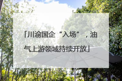 川渝国企“入场”，油气上游领域持续开放