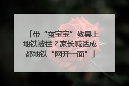 带“蚕宝宝”教具上地铁被拦？家长喊话成都地铁“网开一面”