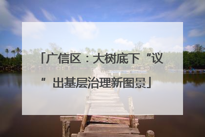 广信区：大树底下“议”出基层治理新图景
