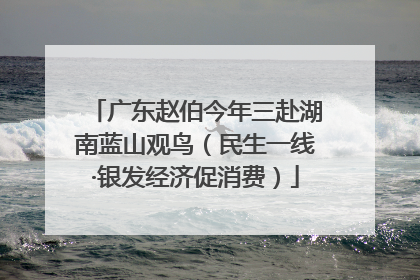 广东赵伯今年三赴湖南蓝山观鸟（民生一线·银发经济促消费）