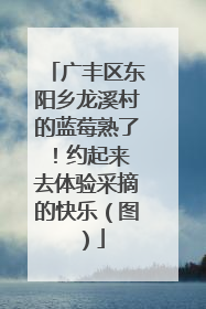 广丰区东阳乡龙溪村的蓝莓熟了！约起来 去体验采摘的快乐（图）
