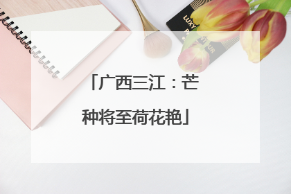广西三江：芒种将至荷花艳