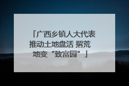 广西乡镇人大代表推动土地盘活 撂荒地变“致富园”