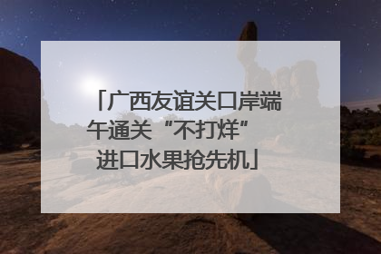 广西友谊关口岸端午通关“不打烊” 进口水果抢先机