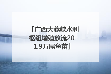广西大藤峡水利枢纽增殖放流201.9万尾鱼苗