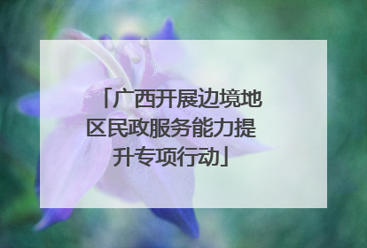广西开展边境地区民政服务能力提升专项行动