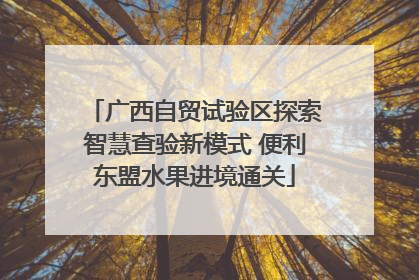广西自贸试验区探索智慧查验新模式 便利东盟水果进境通关