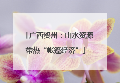 广西贺州：山水资源带热“帐篷经济”