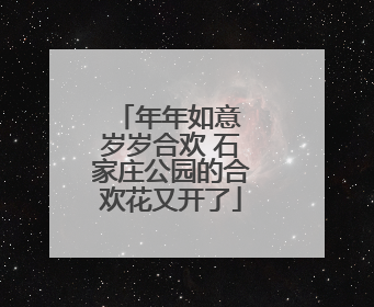 年年如意 岁岁合欢 石家庄公园的合欢花又开了