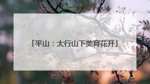 平山：太行山下美育花开